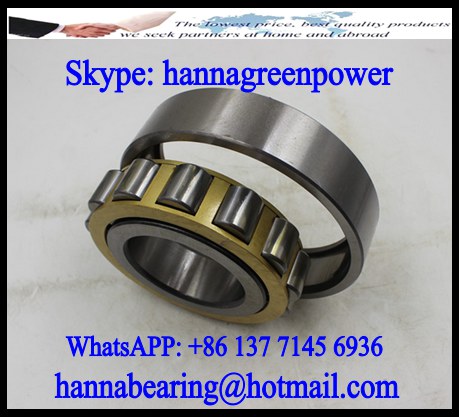 412-301 Single Row Cylindrical Roller Bearing 360x440x38mm