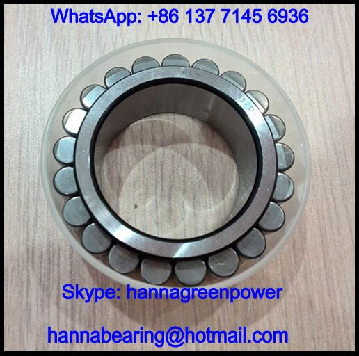 F-226012.2 Cylindrical Roller Bearing / Printing Machine Bearing