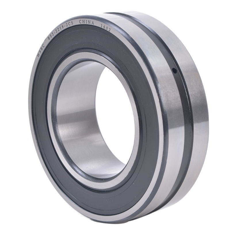 BS2-2222-2CS bearing 110*200*63mm