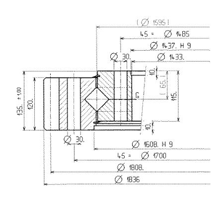 06 1595 04 slewing ring bearing