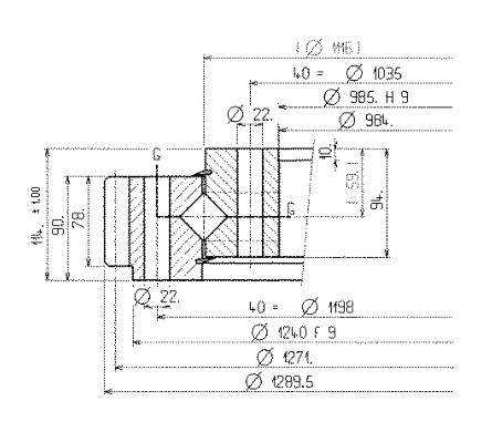 06 1116 00 slewing ring bearing