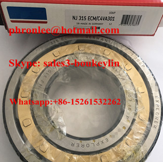 NJ 319 ECM/C4VA301 Cylindrical Roller Bearing 95x200x45mm