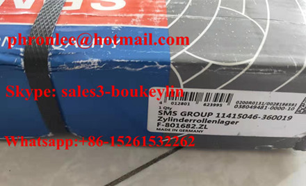 162250G Cylindrical Roller Bearing