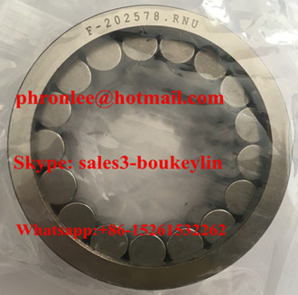 F-202972 Cylindrical Roller Bearing 24.8x39x17mm