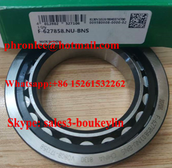 F-627858.03.NU Cylindrical Roller Bearing 55x90x18mm