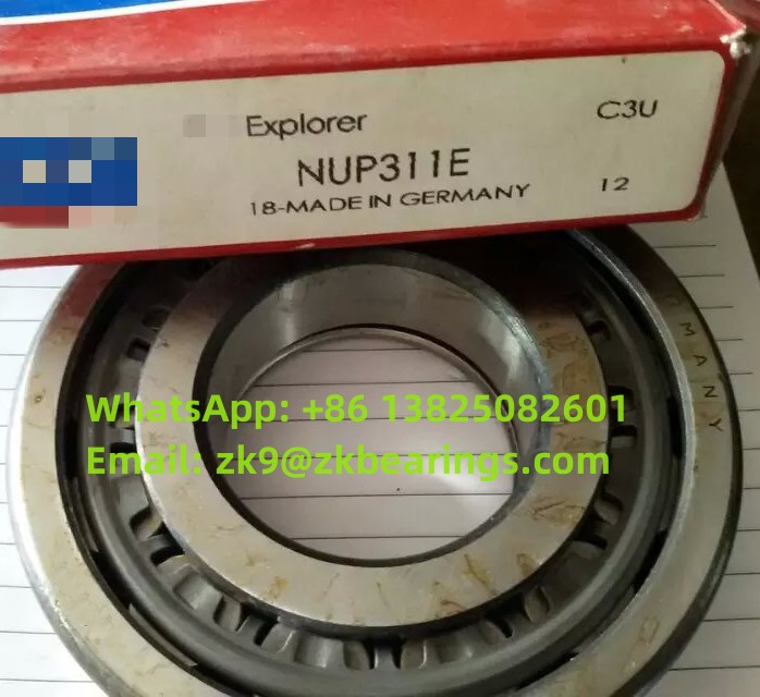 NUP 305 ECP Single Row Cylindrical Roller Bearing 25x62x17 mm