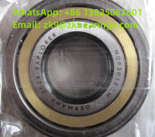 NUP 305 ECM Single Row Cylindrical Roller Bearing 25x62x17 mm