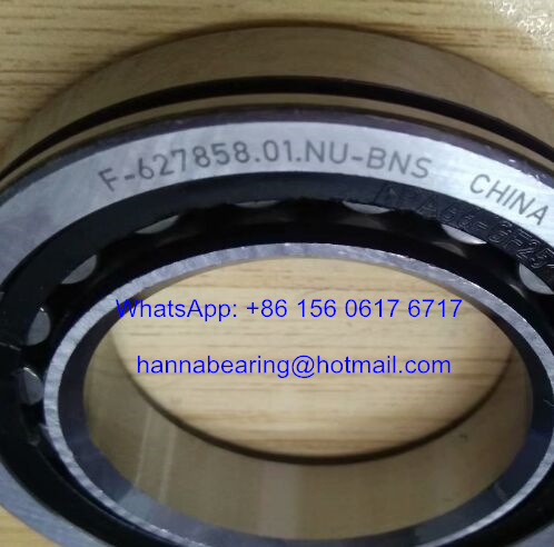 F-627858 Auto Bearing / Cylindrical Roller Bearing 55*90*18mm