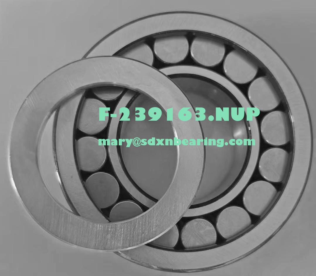 F-239163.NUP Bearing -55x110x35mm-Cylindrical Roller Bearing