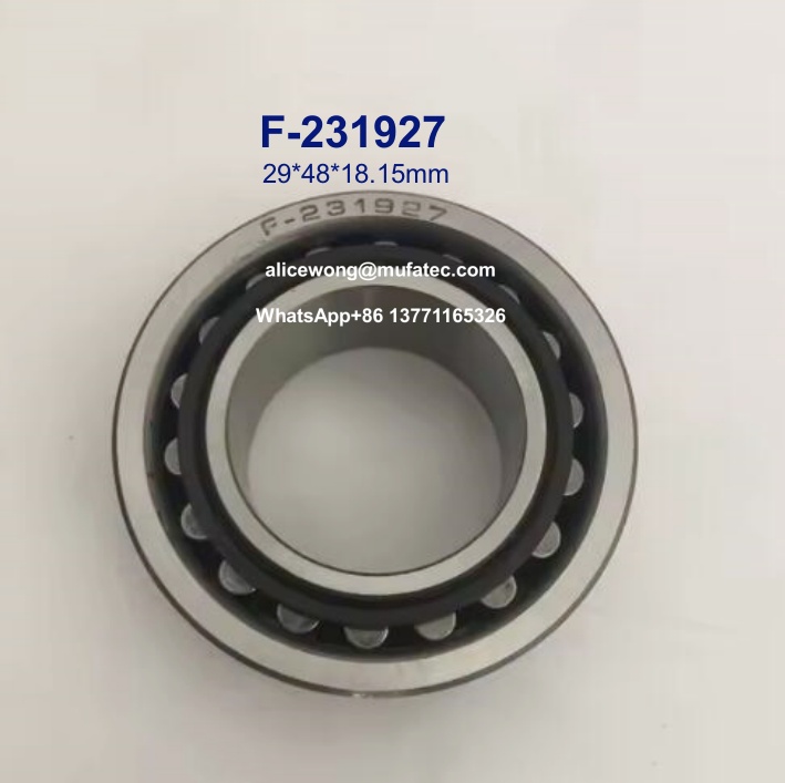 F-231927 automotive gearbox bearings cylindrical roller bearings 29*48*18.15mm