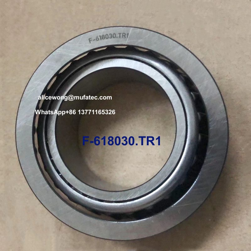 F-618030.TR1 automotive bearings taper roller bearings