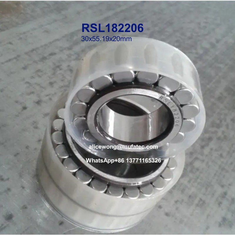 RSL182206 full complement cylindrical roller bearings 30x55.19x20mm