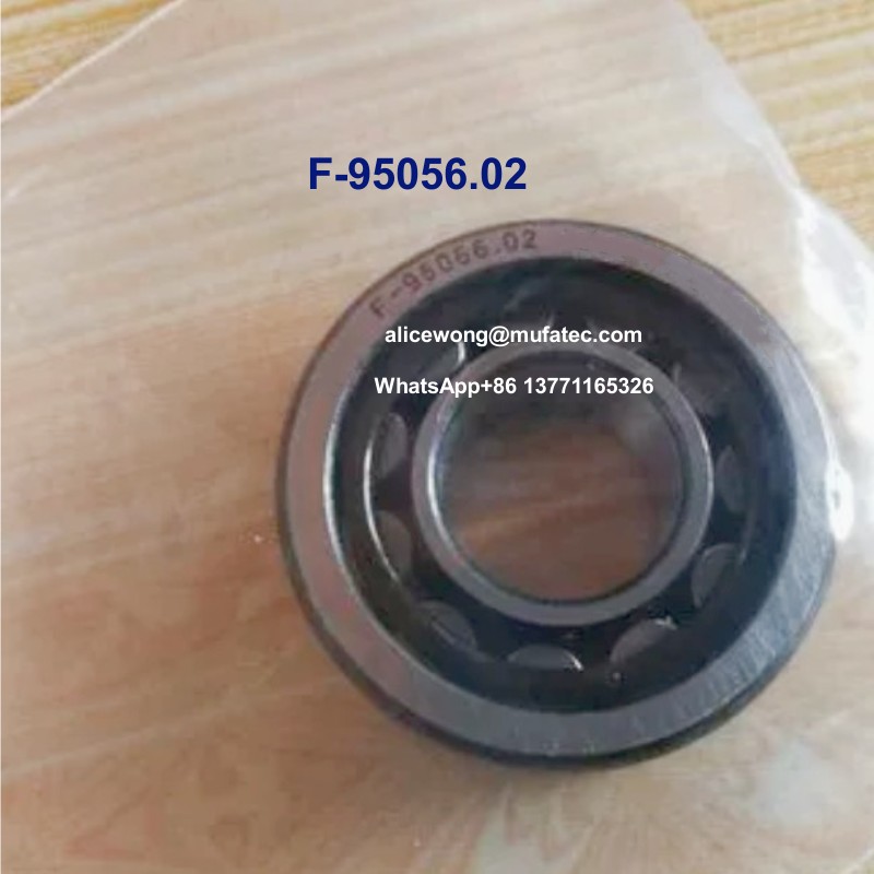 F-95056.02 hydraulic pump bearings full complement cylindrical roller bearings