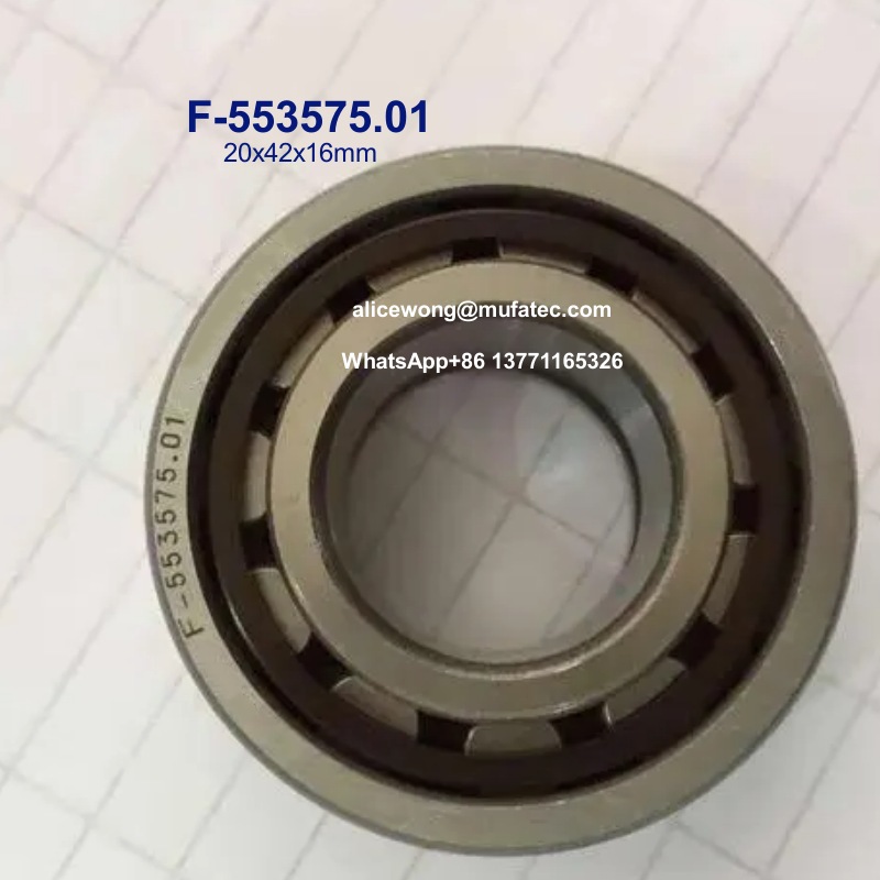 F-553575.01 Printing Machine Bearings Cylindrical Roller Bearings 20x42x16mm