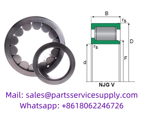 NJG2311CV (Alt P/N: SL192311) Full Complement Cylindrical Roller Bearing