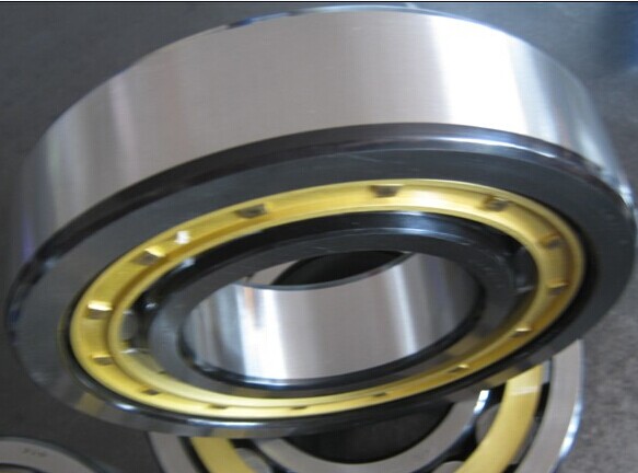 NU20/710ECMA Cylindrical Roller bearing 710*1030*185mm
