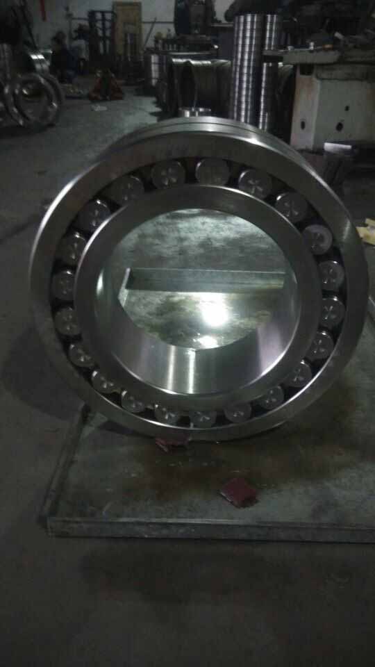 R313891A bearings