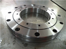 789/500 Slewing Bearing