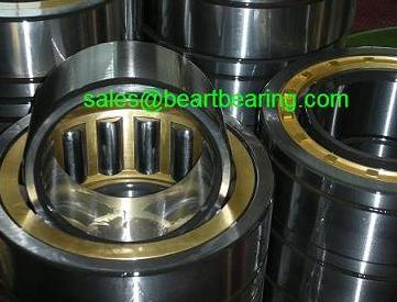 300RN92 cylindrical roller bearing 300x540x177.8mm