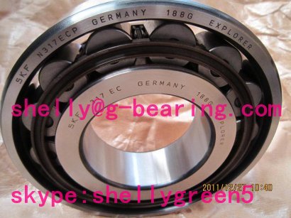 N317ECP Cylindrical Roller Bearing 85×180×41mm