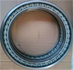 High quality BD155-6A walking bearing for excavator