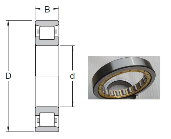 N 304 ECP Spherical Roller Bearings 20*52*15mm