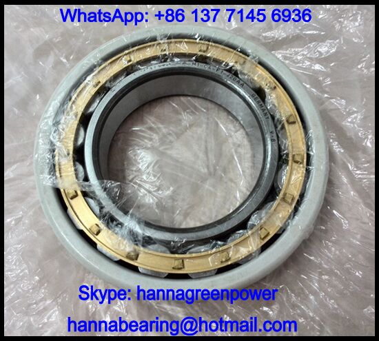 NU324-E-M1-F1-J20AB-C3 Current Insulating Cylindrical Roller Bearing 120x260x55mm