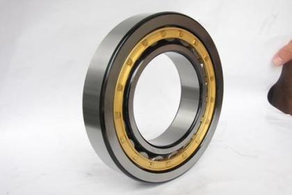 SSNU2204 bearing