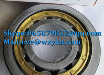 NU420M bearing 100x250x58mm