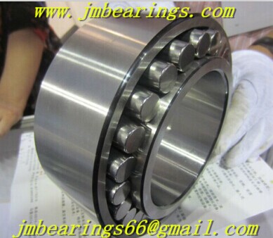 C4032 CARB toroidal roller bearing 160x240x80mm