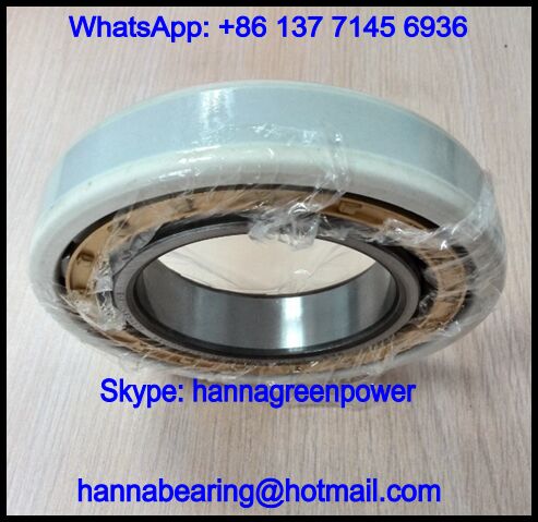 NU324-E-M1-F1-J20AB-C4 Current Insulating Cylindrical Roller Bearing 120x260x55mm