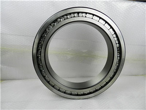 NCF1840V Single-Row Full Complement Cylindrical Roller Bearing