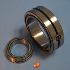 sl014922 Full Complement Cylindrical Roller Bearing