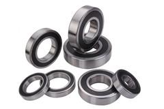 6007-2rs stainless steel deep groove ball bearing