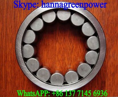 F-218523 Hydraulic Pump Cylindrical Roller Bearing