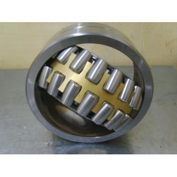 Spherical Roller Bearing 22313CC/W33