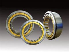Short cylindrical roller bearing NU1009M