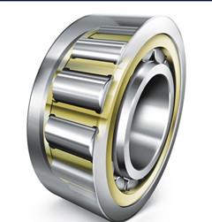 NU305 Cylindrical roller bearings chrome steel