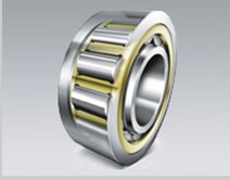 NU 2938Q1/S0 Cylindrical Roller Bearing 190x260x42mm