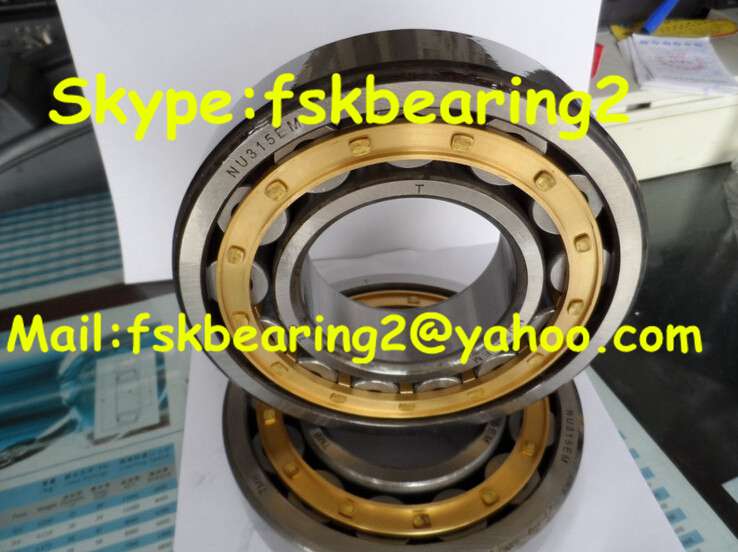 Cylindrical Roller Bearings 120RT03 120x260x55mm