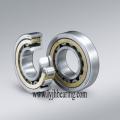 N309, N309E, N309M, N309ETVP2, N309ECP cylindrical roller bearing