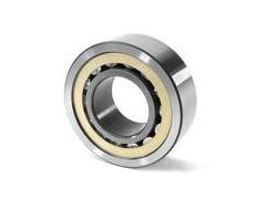 SSNJ2211 bearing