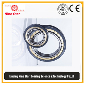 Ball bearing 6310M/C3VL0241 Insulated bearing