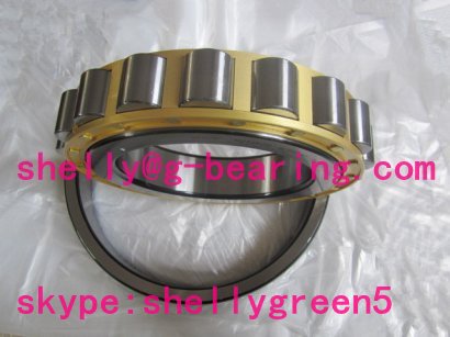 N232ECM Cylindrical Roller Bearing 160×290×48mm