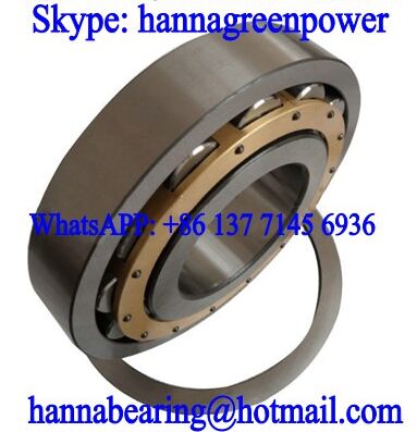 170RIP664 Single Row Cylindrical Roller Bearing 431.8x635x88.9mm