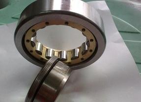 NUP219E Cylindrical Roller Bearing