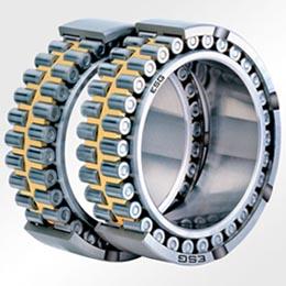 FCD3042120 cylindrical roller bearing