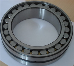 NNCF4860V Double Row Full Complement Cylindrical Roller Bearing