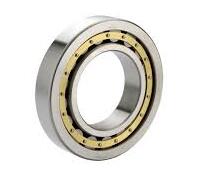 NU203 Cylindrical Roller Bearing 17x40x12mm