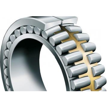 N204 Cylindrical roller bearing